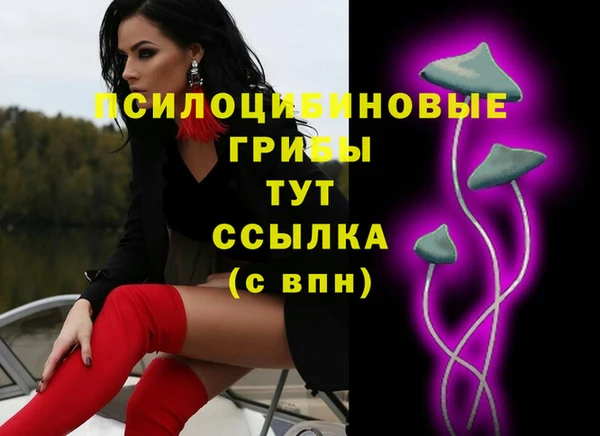 индика Верхний Тагил