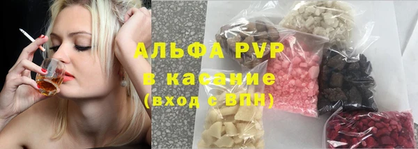 шишки Верея