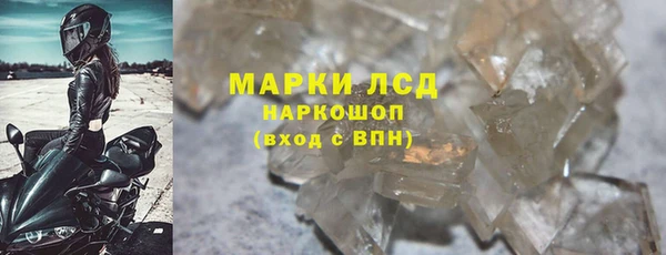 индика Верхний Тагил
