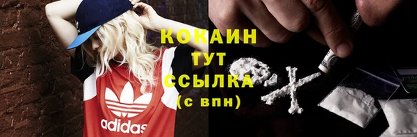 индика Верхний Тагил
