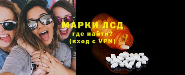 шишки Верея