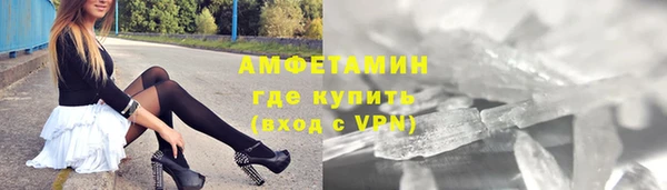 шишки Верея