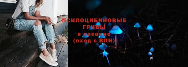 шишки Верея