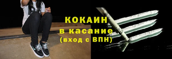 индика Верхний Тагил