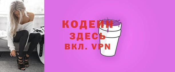 шишки Верея