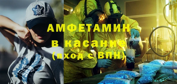 шишки Верея