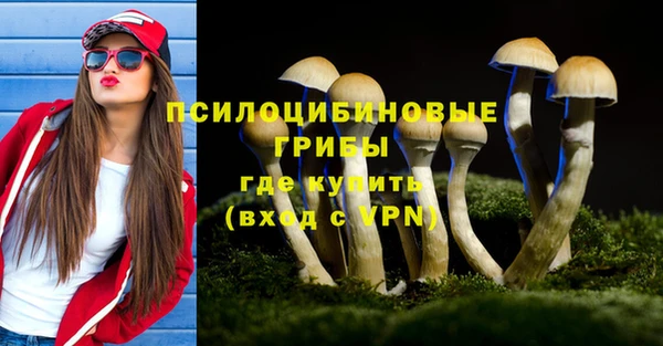 шишки Верея