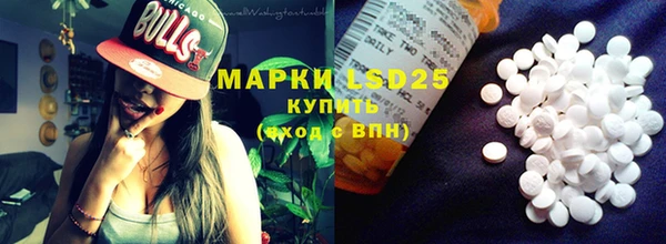 шишки Верея