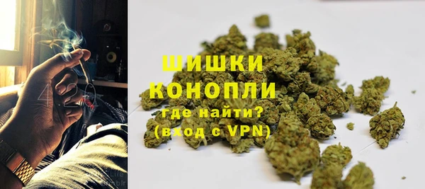 индика Верхний Тагил