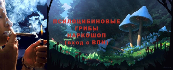 индика Верхний Тагил